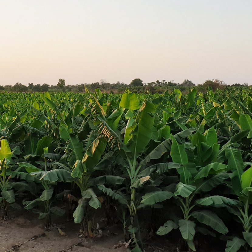 Go The Extra Mile With Sparkle Go-The-Extra-Mile-With-Sparkle---Sparkle-blog