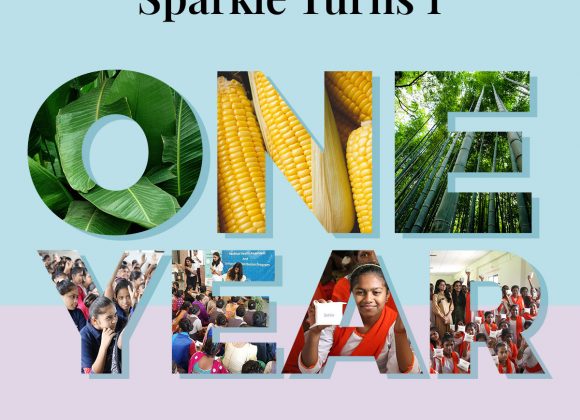 The-Sparkle-Story---Our-First-Year-&-First-Chapter---Sparkle-Blog