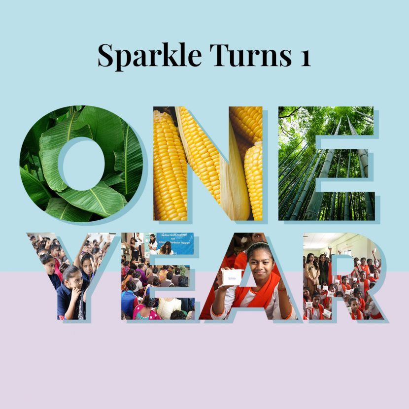 The Sparkle Story: Our First Year & First Chapter