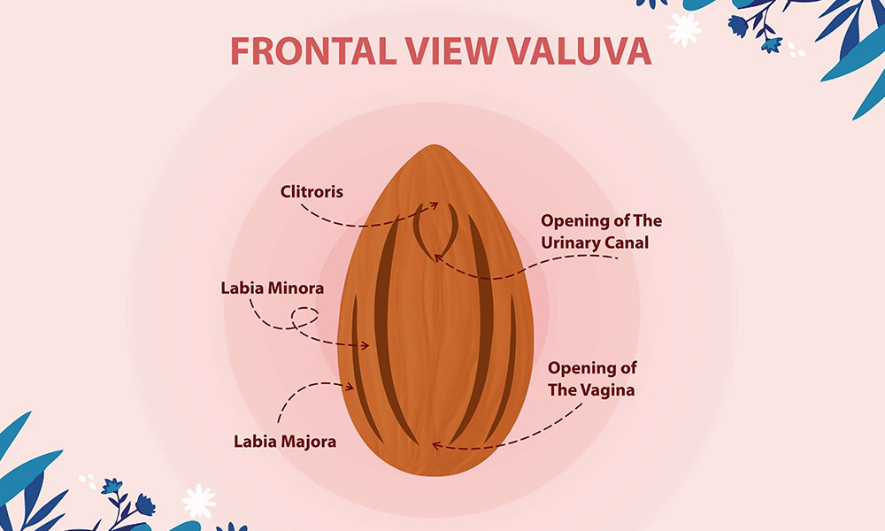 Talk2veee on X: carpet grass standard is okay. If it's bushy, it can  easily trap dirts, endeavor to wash it. Vagina is self cleaning but other  protruding parts need WATER. Using soap