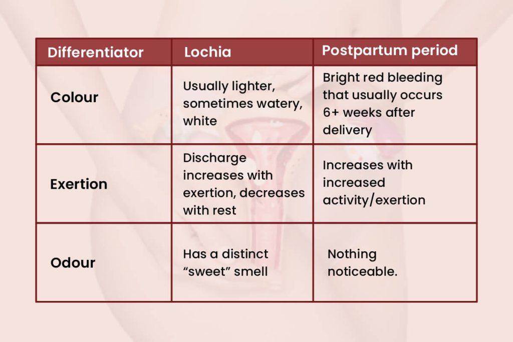 The period post childbirth What changes are in store for me