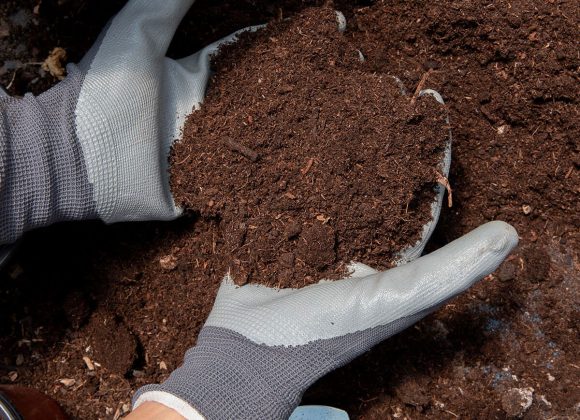 How-can-I-compost-sanitary-pads-at-home