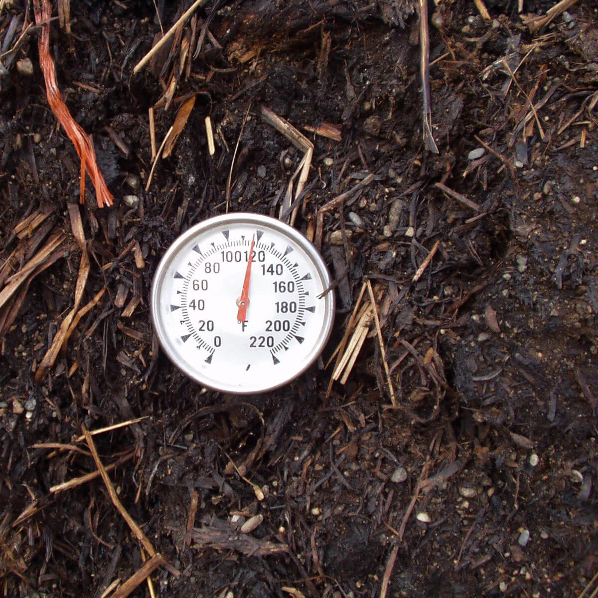 What-Is-The-Secret-Behind-Hot-Composting