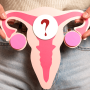 Menopause A Pause on Periods - Not You - 1